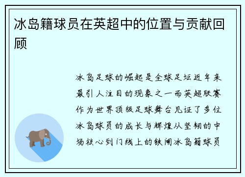 冰岛籍球员在英超中的位置与贡献回顾